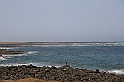 Kanary_2010 115